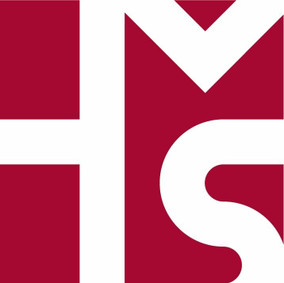Dr. Maren Seubert-Schommer Prof. Dr. Dr. Hannes Schierle M.A. M.Sc & Kollegen Logo