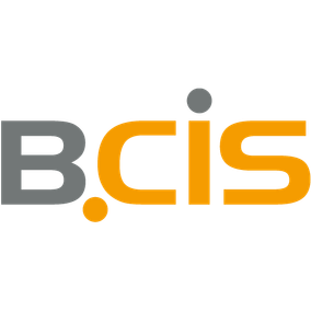 BCIS IT-Systeme GmbH & Co. KG Logo