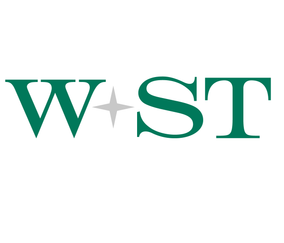 W+ST Wirtschaftsprüfung AG & Co. KG Logo