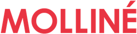 WDV Molliné GmbH Logo