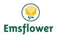 Emsflower GmbH Logo