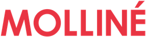 WDV Molliné GmbH Logo