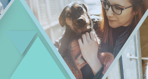 Symbolbild für Praktika nach Branche in der Branche Tierpflege und Veterinärwesen