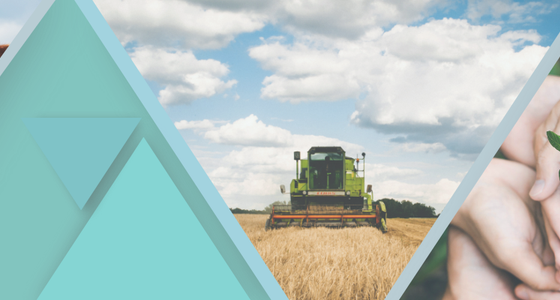 Symbolbild für Praktika nach Branche in der Branche Landwirtschaft, Forst und Umwelt