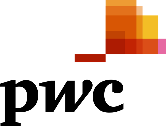 PricewaterhouseCoopers GmbH WPG Logo