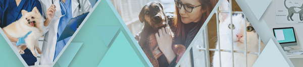 Symbolbild für Praktika nach Branche in der Branche Tierpflege und Veterinärwesen